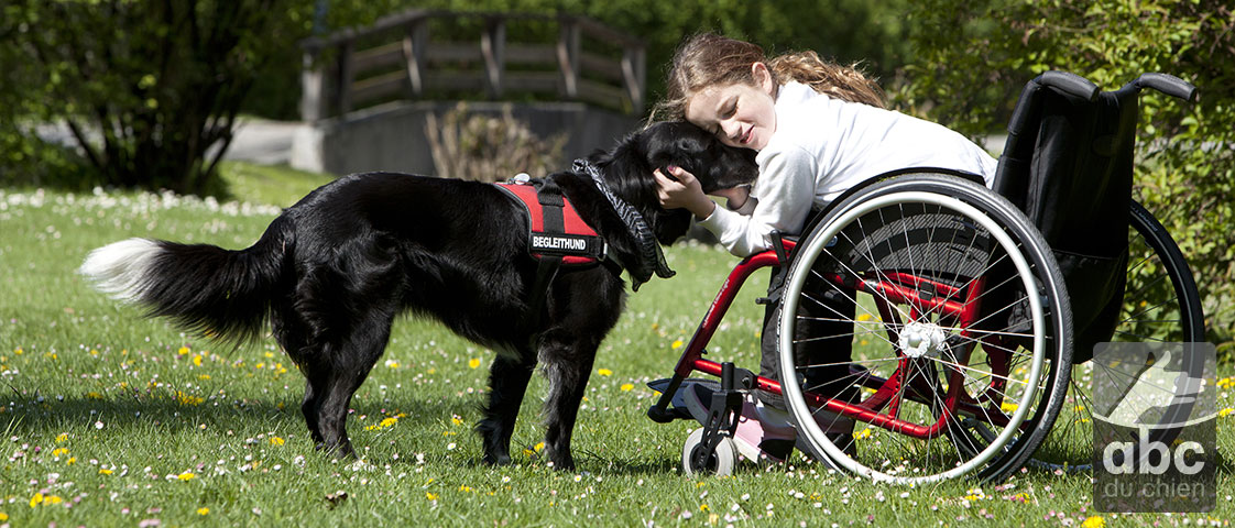 Expert en comportement canin.